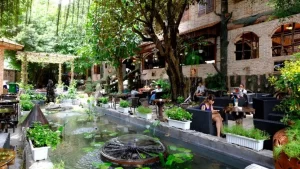 thi công cảnh quan cho quán café sân vườn